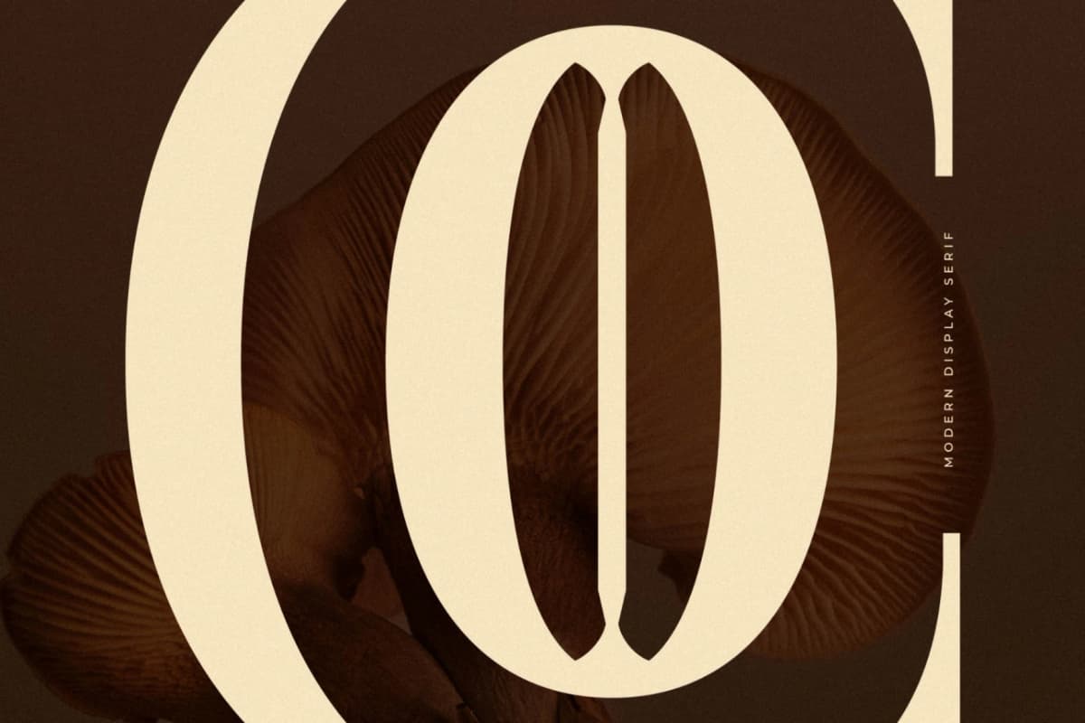 Cholten - Modern Display Serif Font font preview 3