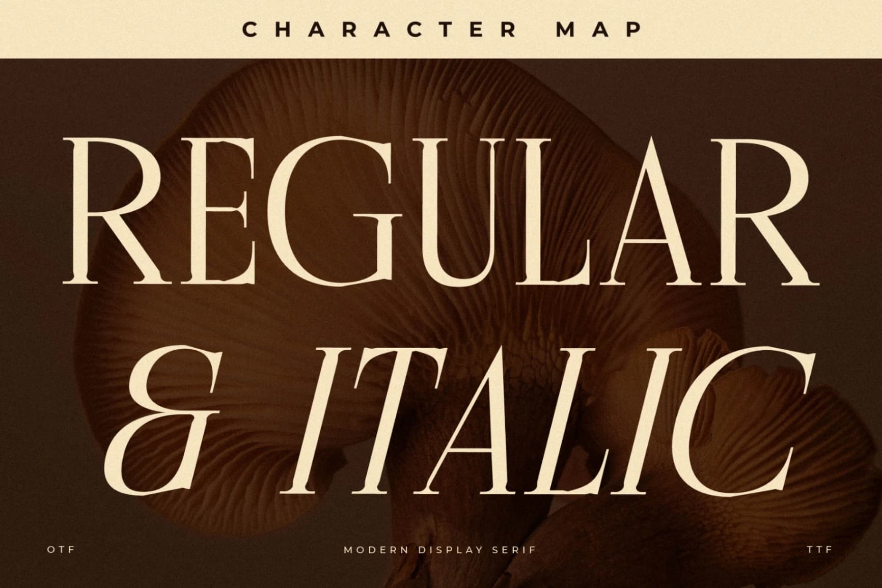 Preview 8 for Cholten - Modern Display Serif Font