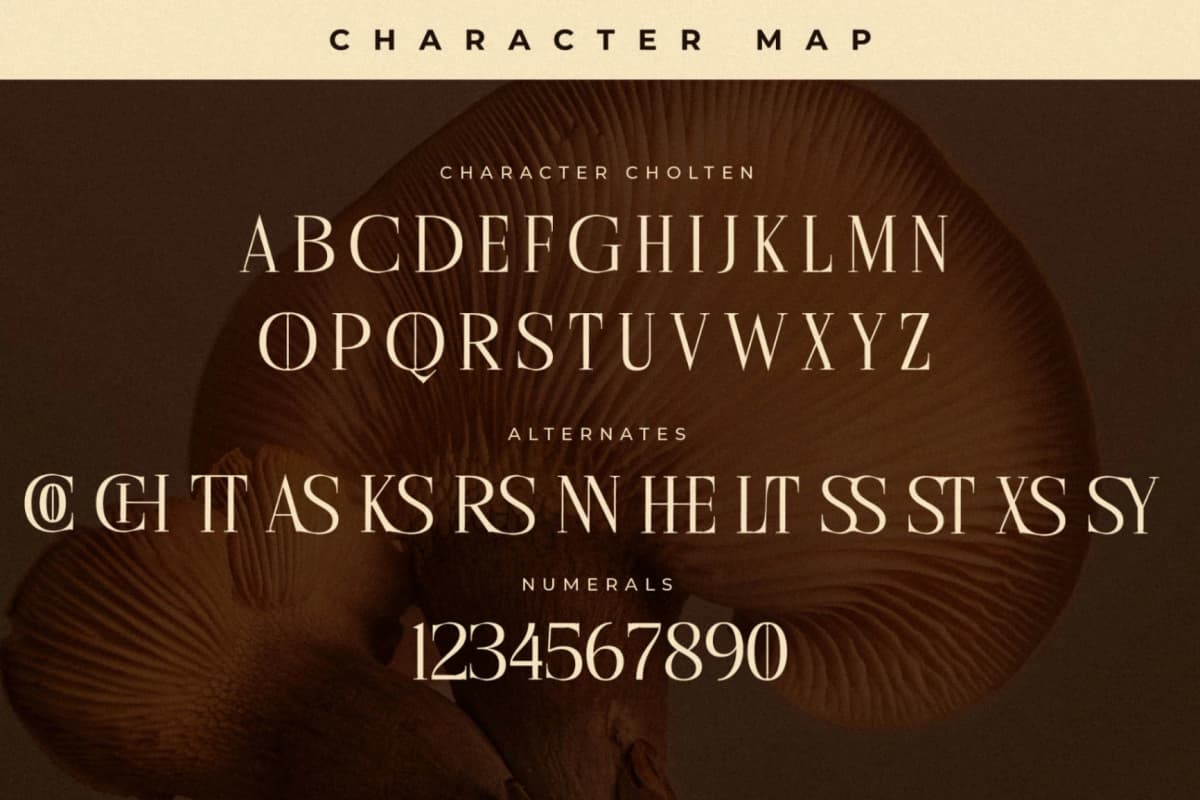 Cholten - Modern Display Serif Font font preview 13