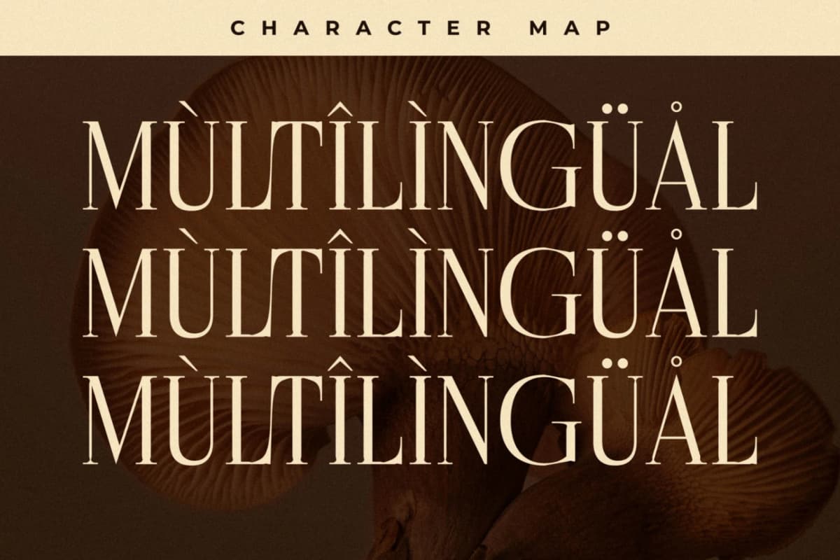 Cholten - Modern Display Serif Font font preview 12