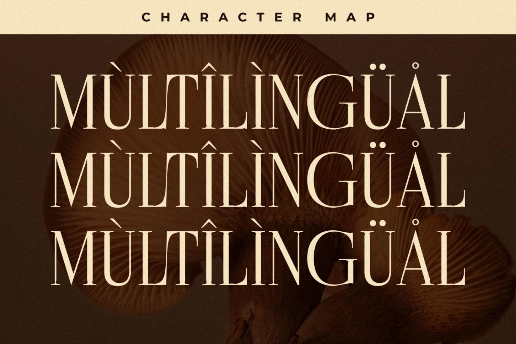 Preview 12 for Cholten - Modern Display Serif Font
