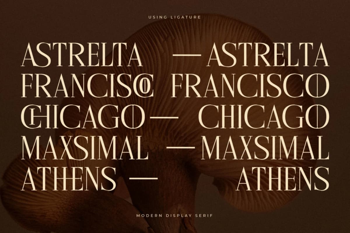 Cholten - Modern Display Serif Font font preview 7