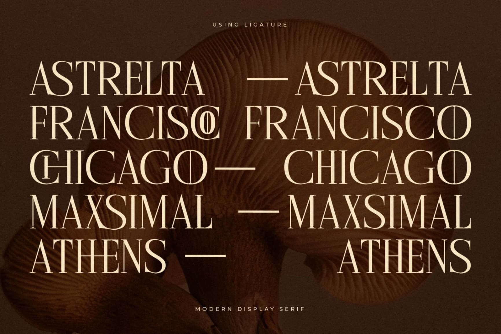 Preview 7 for Cholten - Modern Display Serif Font
