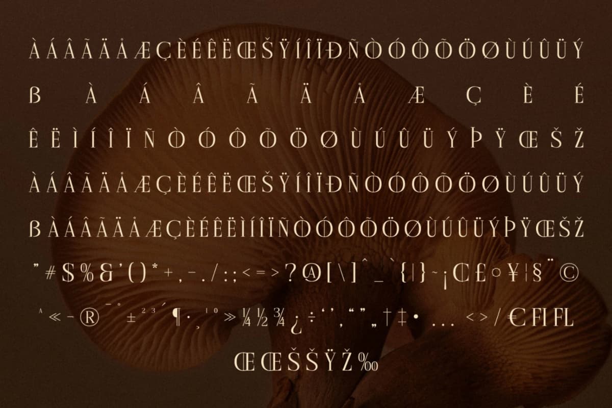 Cholten - Modern Display Serif Font font preview 14