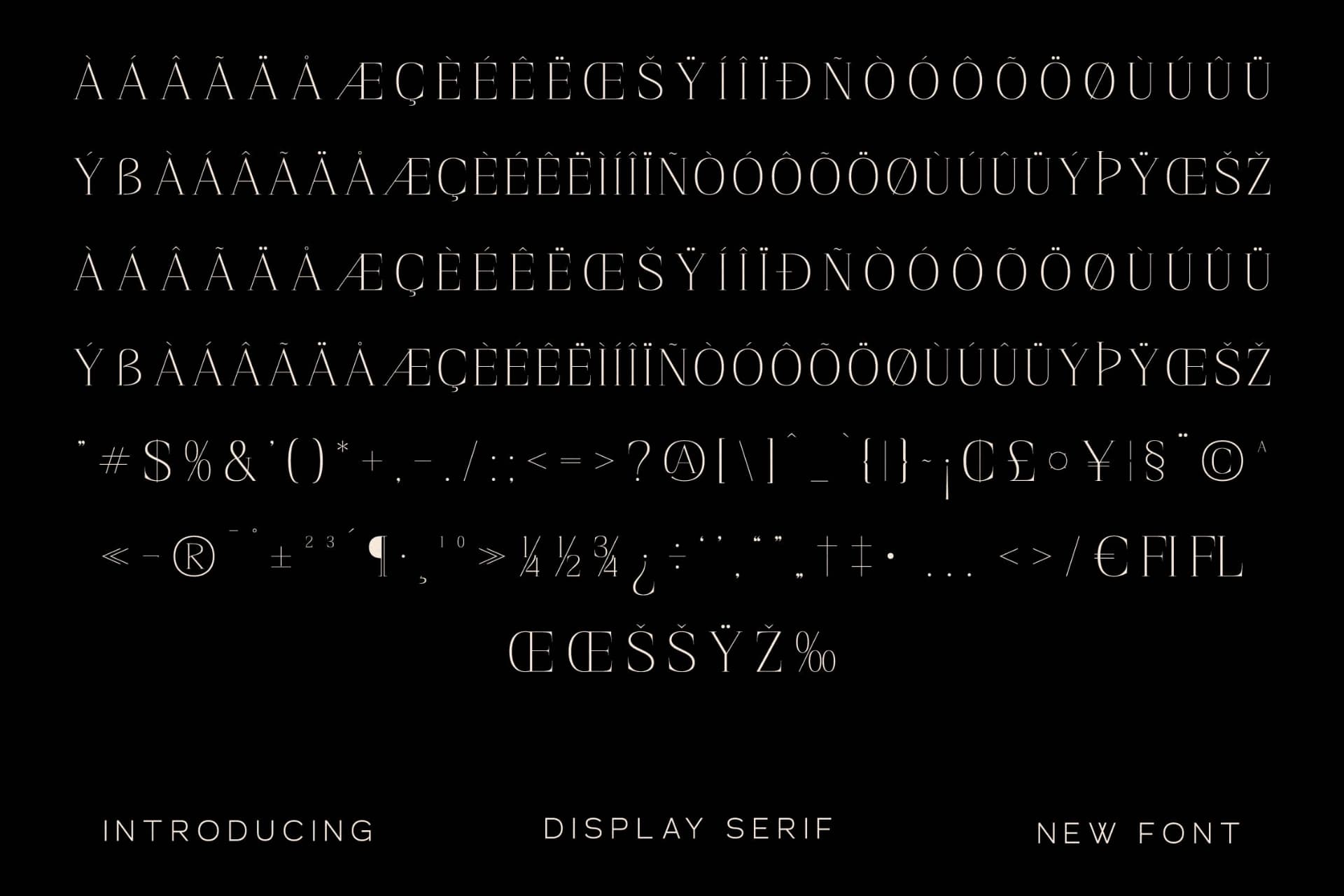 Preview 14 for Magisse - Display Serif Font