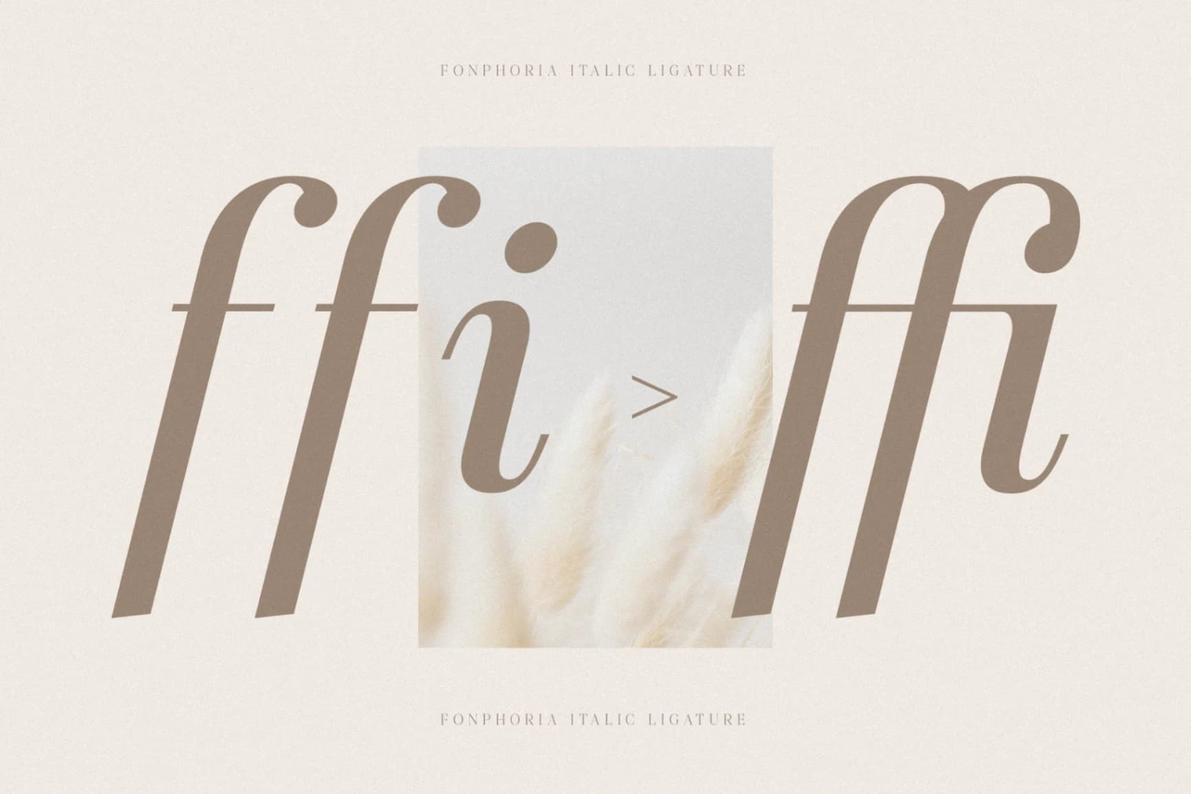 Preview 10 for Fonphoria - Modern Serif Font