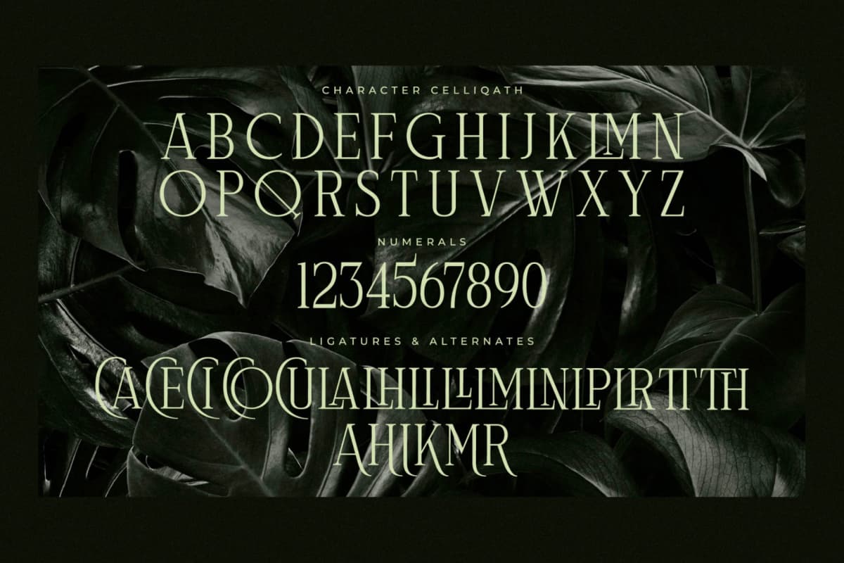 Preview 13 for Celliqath - Modern Display Font