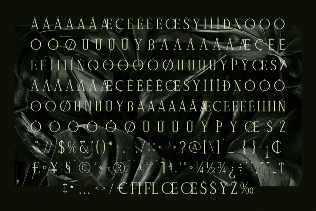 Preview 14 for Celliqath - Modern Display Font