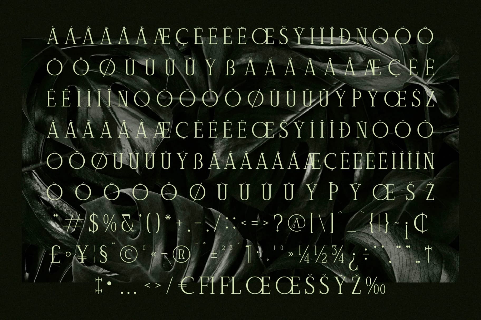 Preview 14 for Celliqath - Modern Display Font