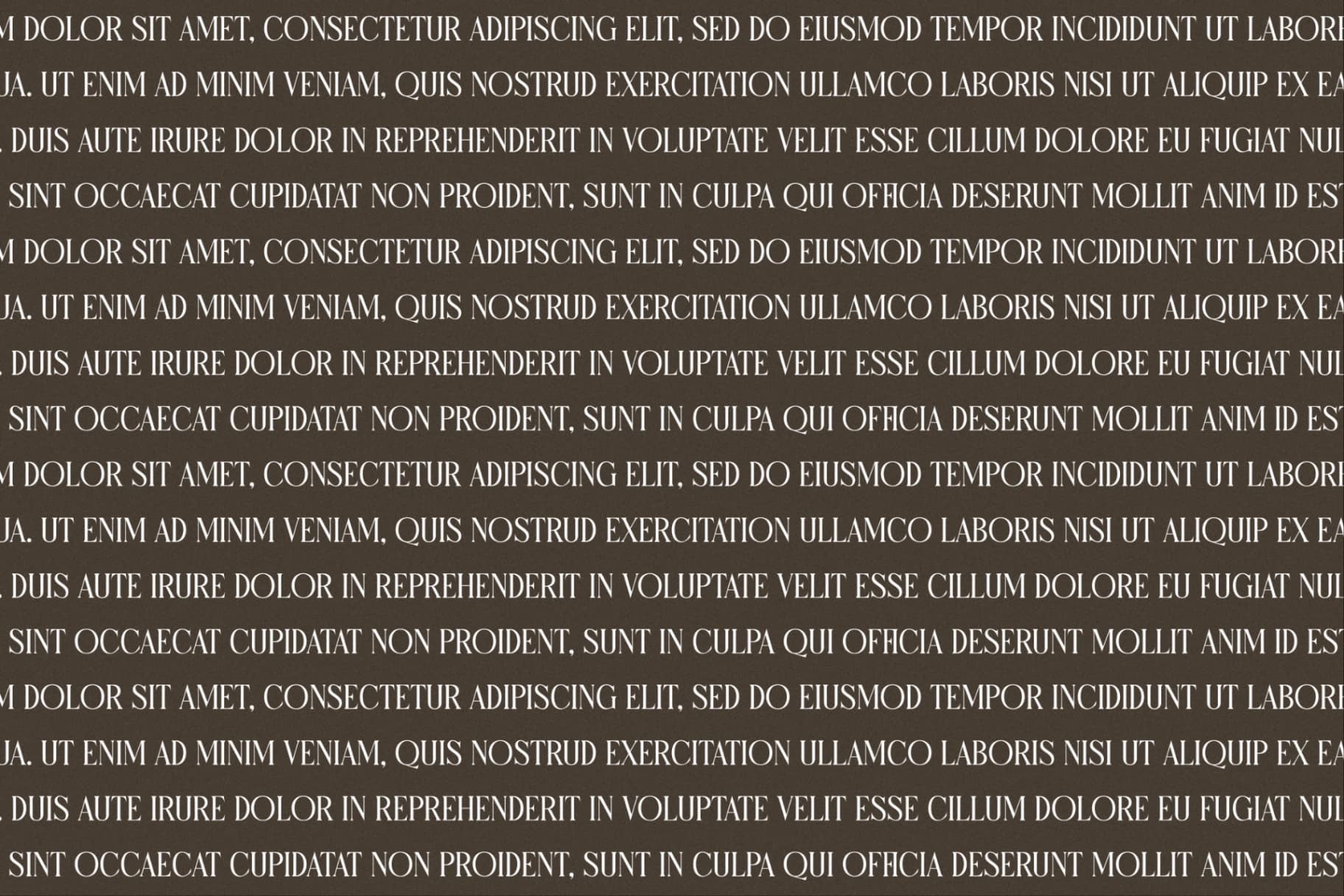 Preview 8 for Micksenav - Display Serif Font