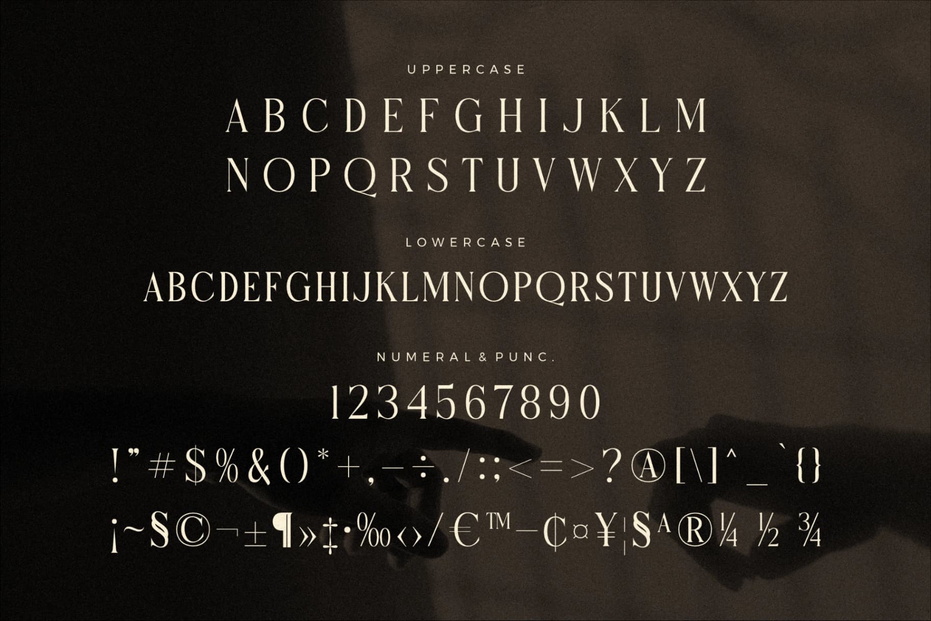 Preview 13 for Micksenav - Display Serif Font