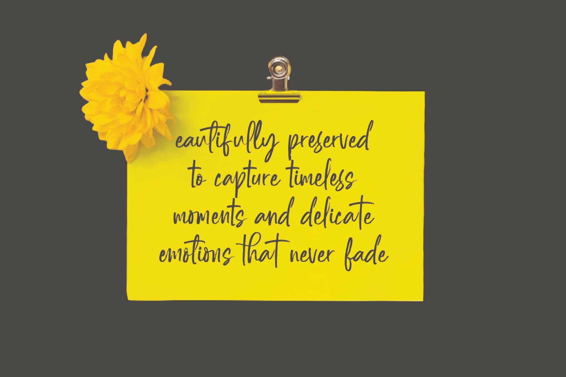 Preview 9 for Daltonse – Best Stylish Font