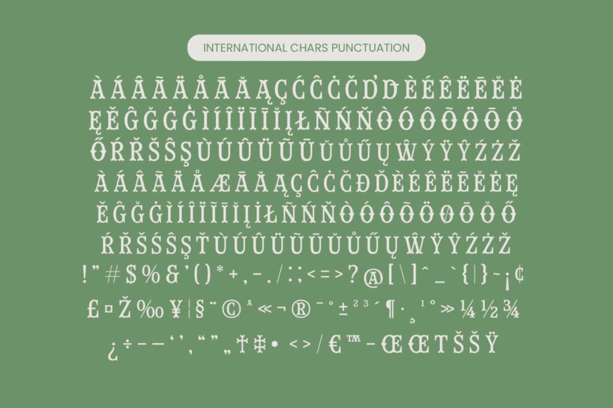 Westron Way Honor - Western Vintage Font font preview 14