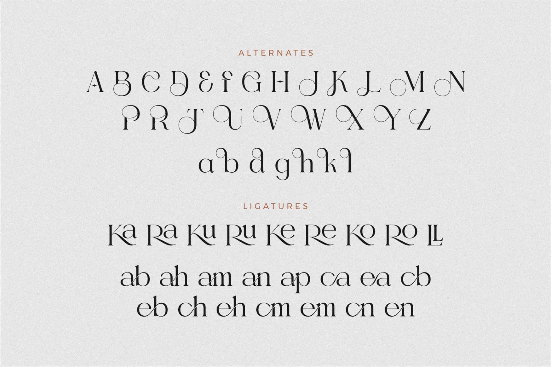 Preview 13 for Gealova - Modern Serif Font
