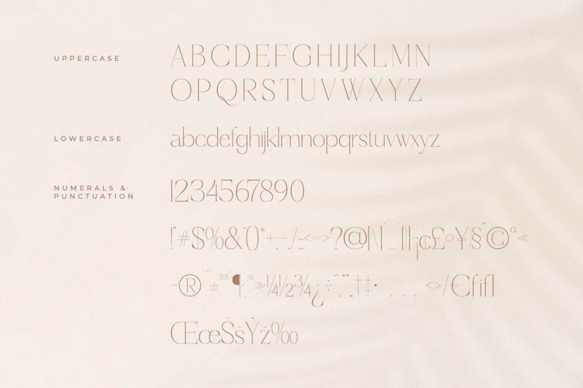 Preview 13 for Haloyen - Stylish Font Serif