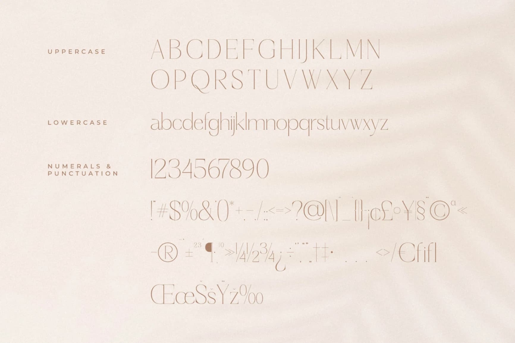 Preview 13 for Haloyen - Stylish Font Serif