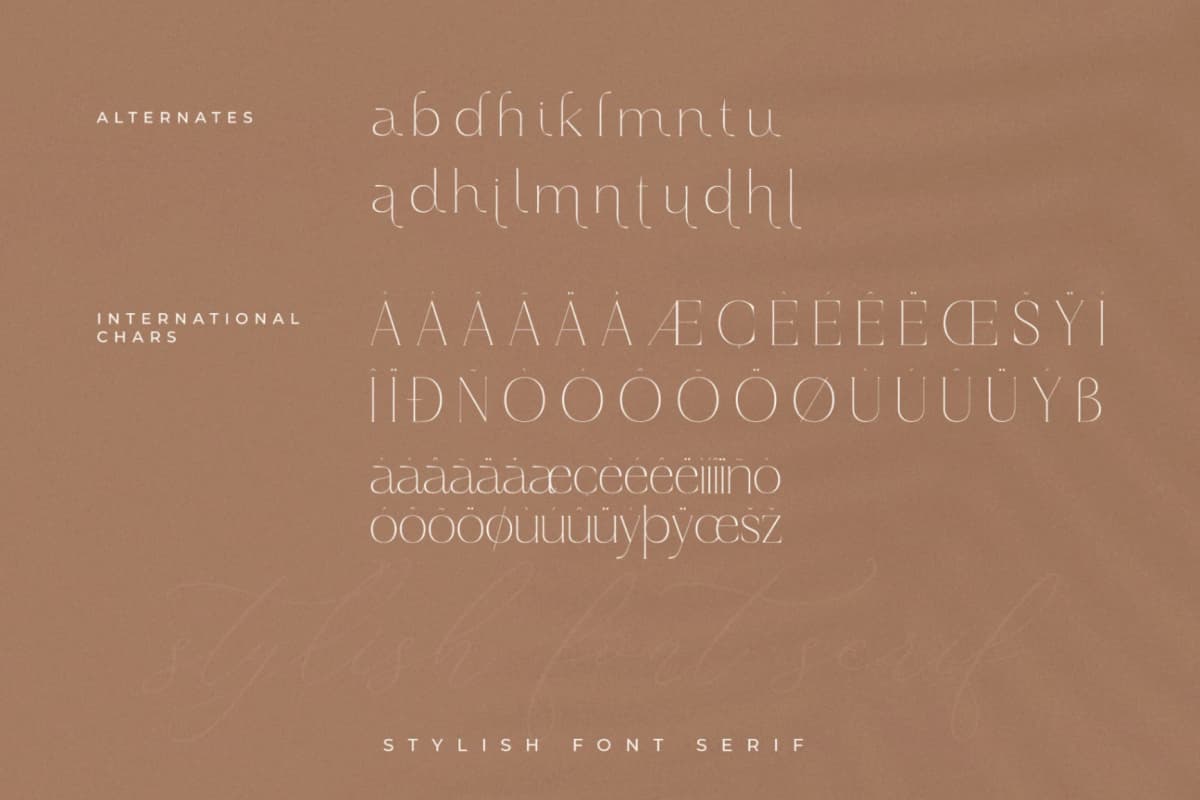 Preview 14 for Haloyen - Stylish Font Serif