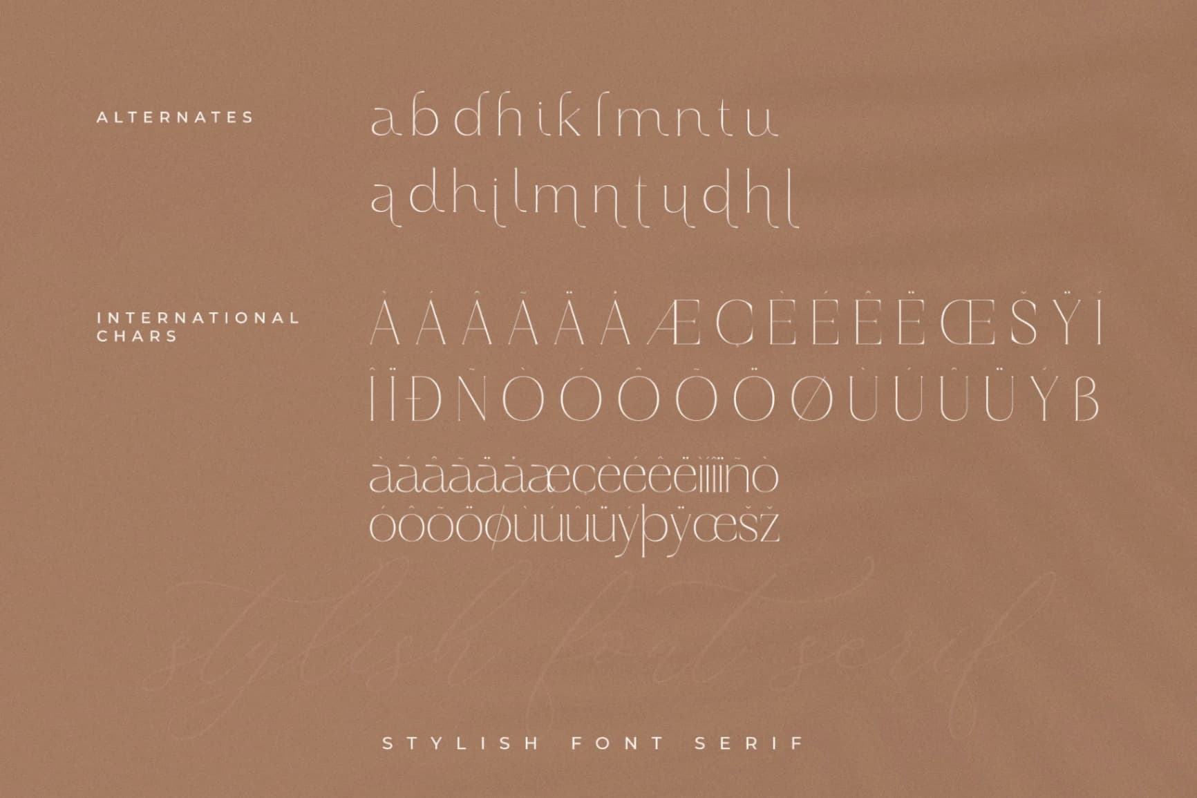 Preview 14 for Haloyen - Stylish Font Serif