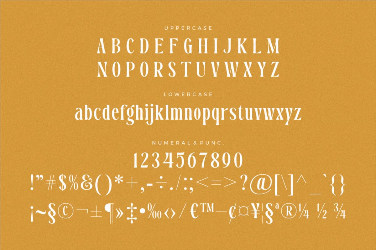 Preview 12 for Dreavolt - A Serif Display Font