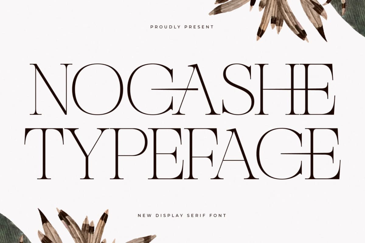 Preview of Nocashe - New Display Serif Font font
