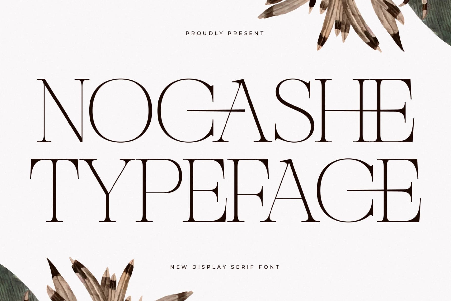 Preview 1 for Nocashe - New Display Serif Font