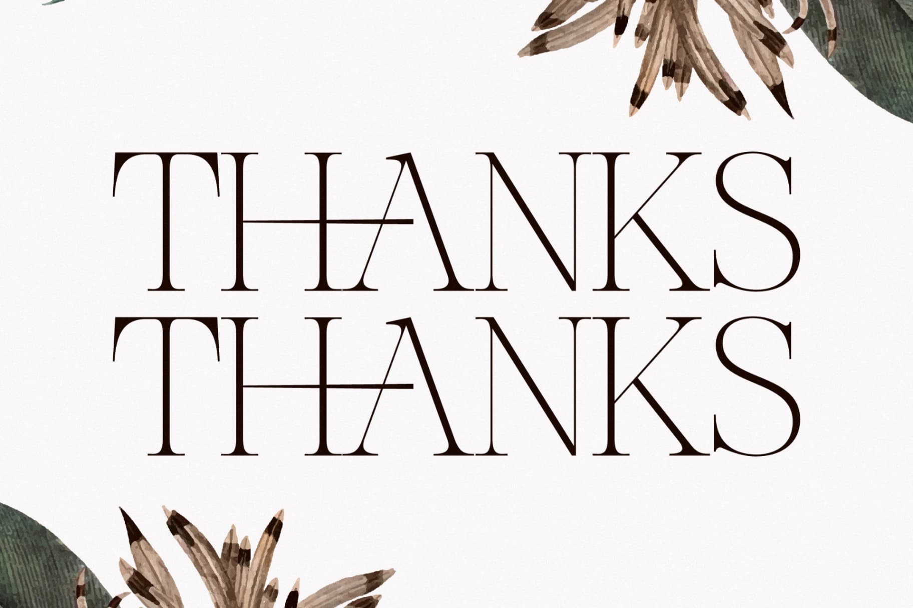Preview 15 for Nocashe - New Display Serif Font
