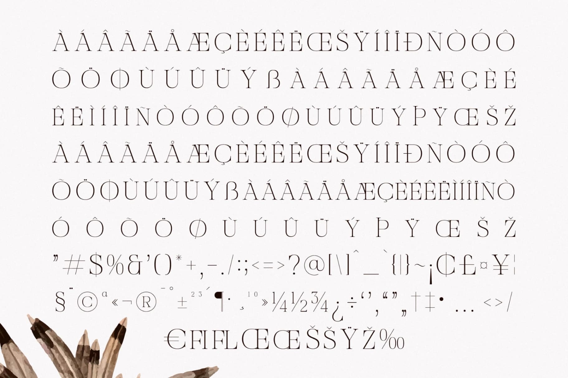 Preview 14 for Nocashe - New Display Serif Font