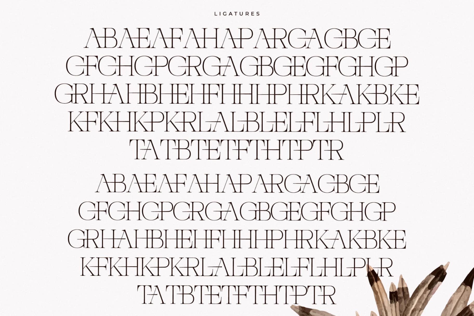 Preview 13 for Nocashe - New Display Serif Font