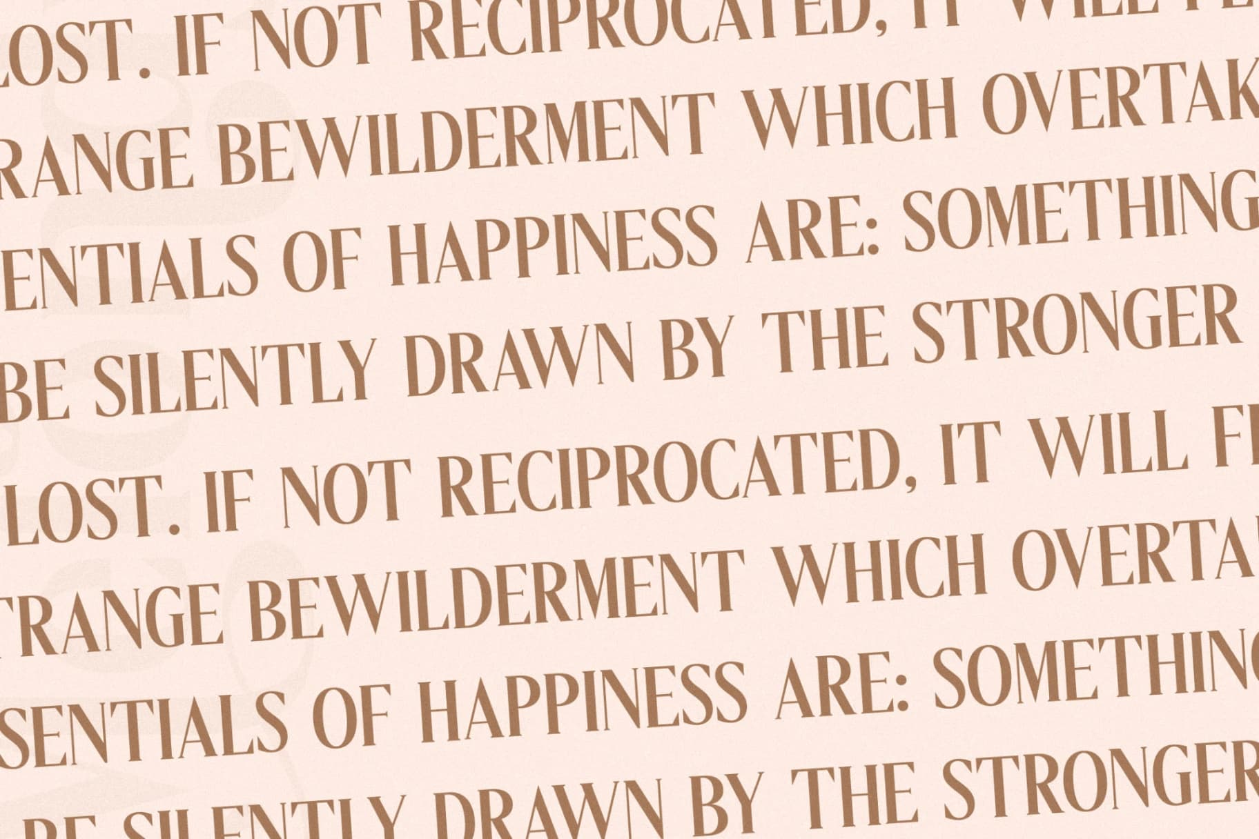 Preview 10 for Melondy - Modern Stylish Serif