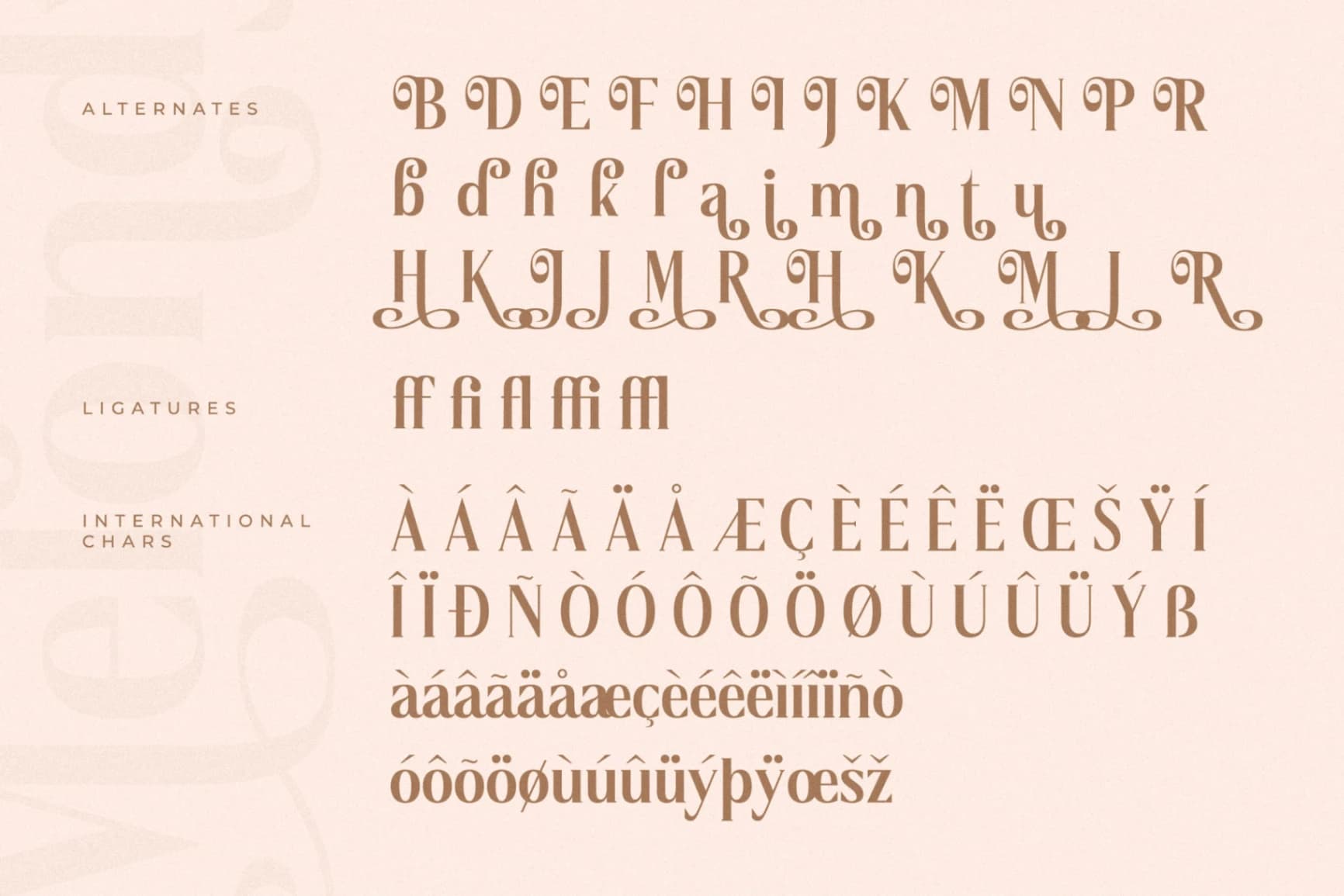 Preview 14 for Melondy - Modern Stylish Serif