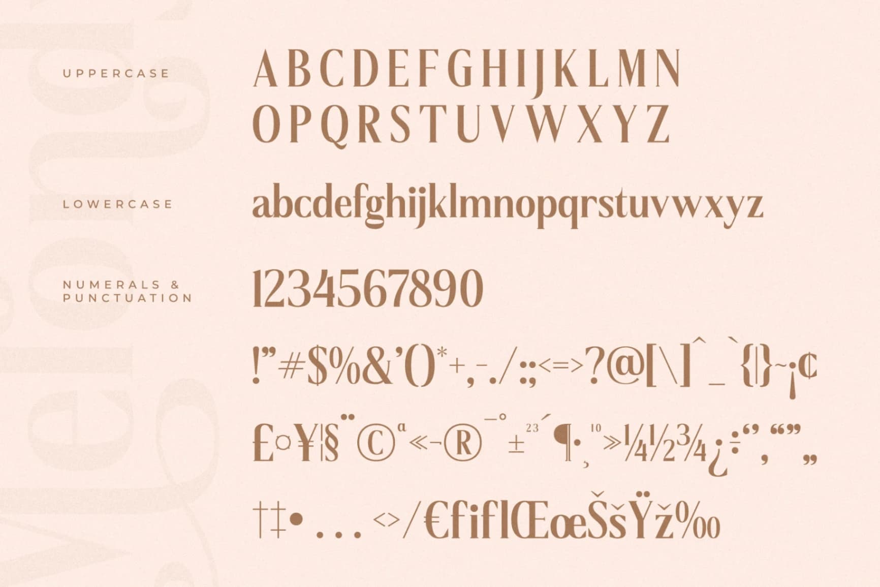 Preview 13 for Melondy - Modern Stylish Serif