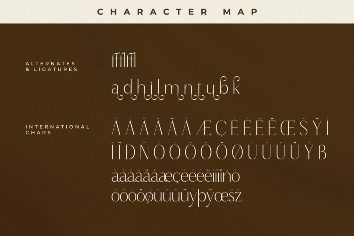 Qaflone - Modern Minimalist Serif font preview 14