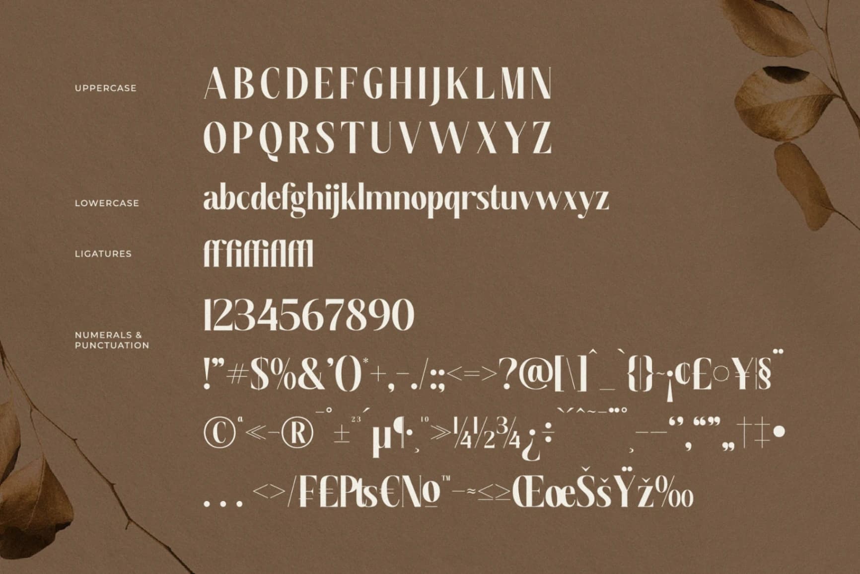 Preview 13 for Semiflora - New Modern Serif Font