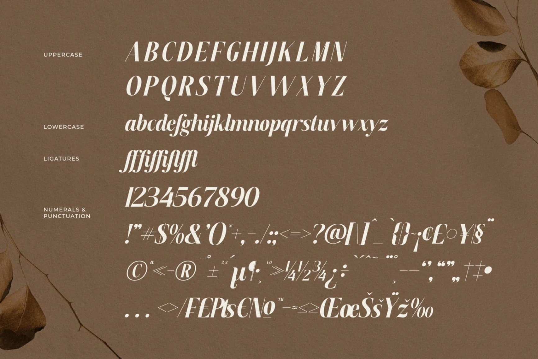 Preview 14 for Semiflora - New Modern Serif Font