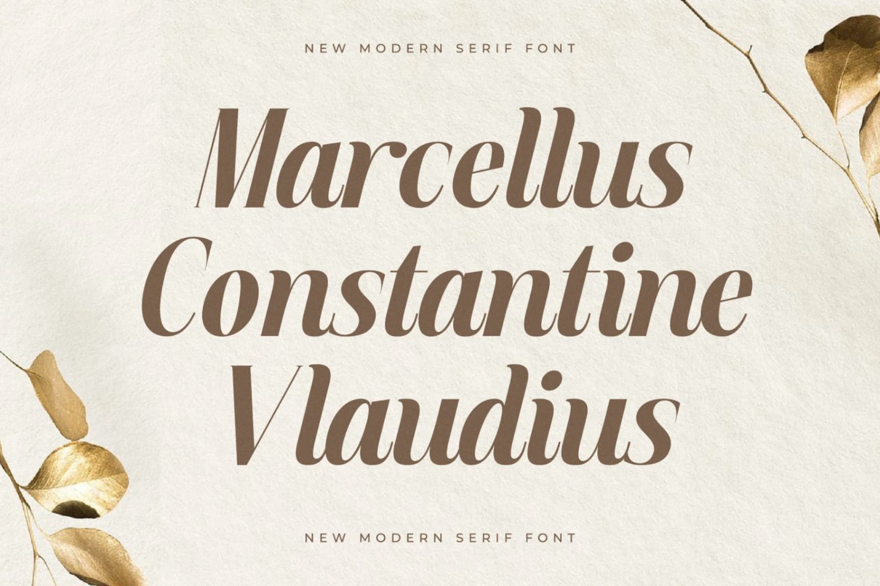 Preview 3 for Semiflora - New Modern Serif Font