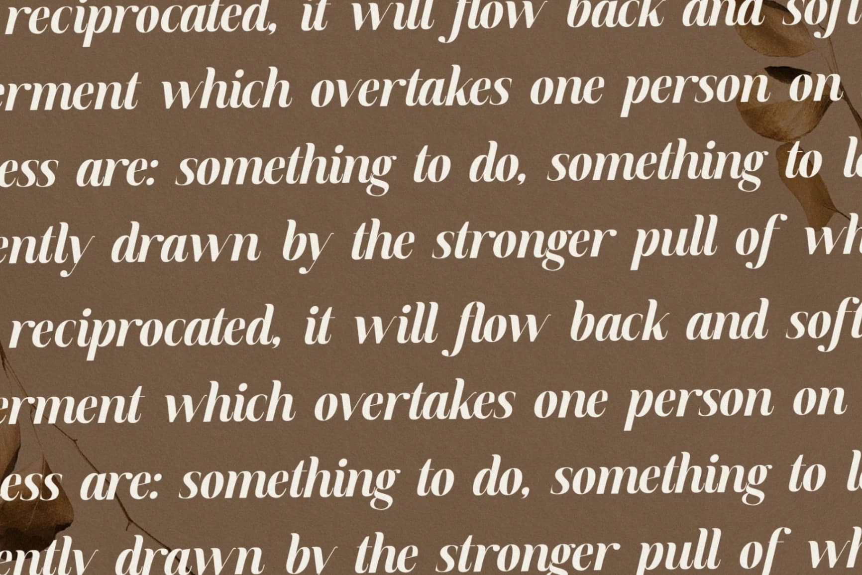 Preview 9 for Semiflora - New Modern Serif Font