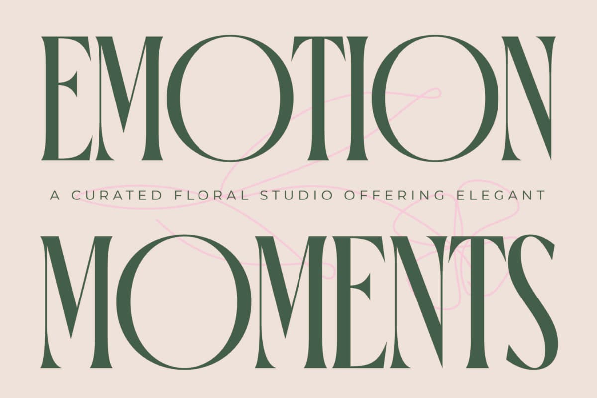 Preview 3 for Orleans Brightens - Modern Elegant Serif