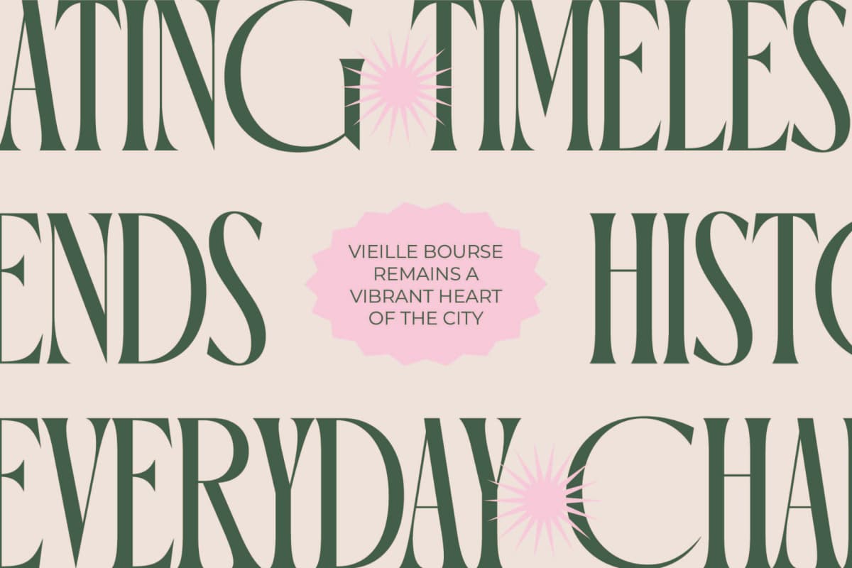 Preview 11 for Orleans Brightens - Modern Elegant Serif