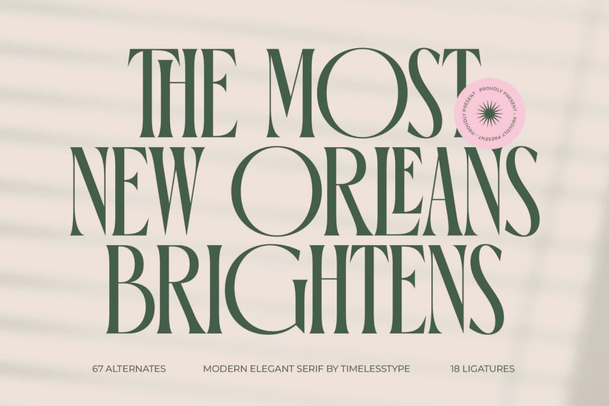 Preview 1 for Orleans Brightens - Modern Elegant Serif