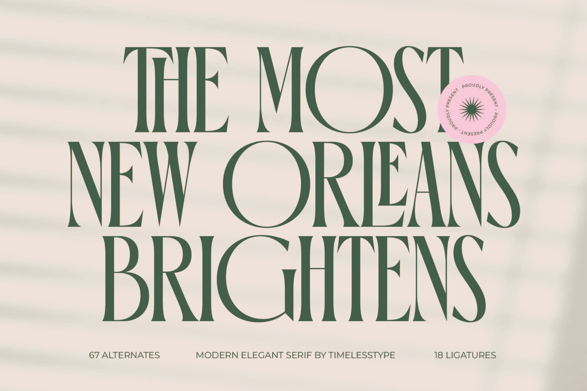 Preview 1 for Orleans Brightens - Modern Elegant Serif