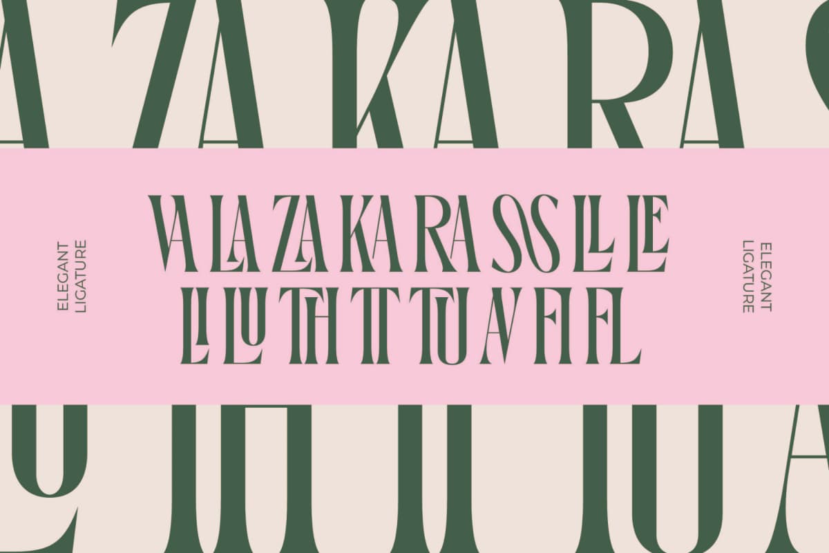 Preview 9 for Orleans Brightens - Modern Elegant Serif