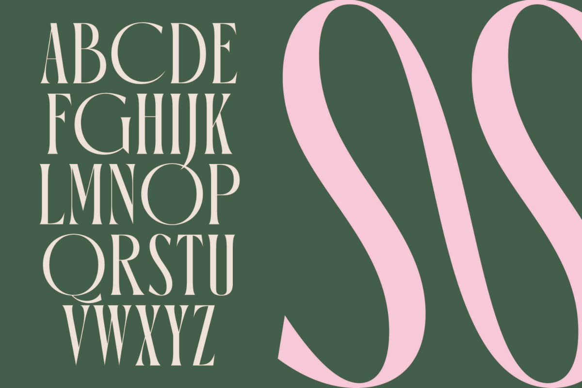 Preview 10 for Orleans Brightens - Modern Elegant Serif