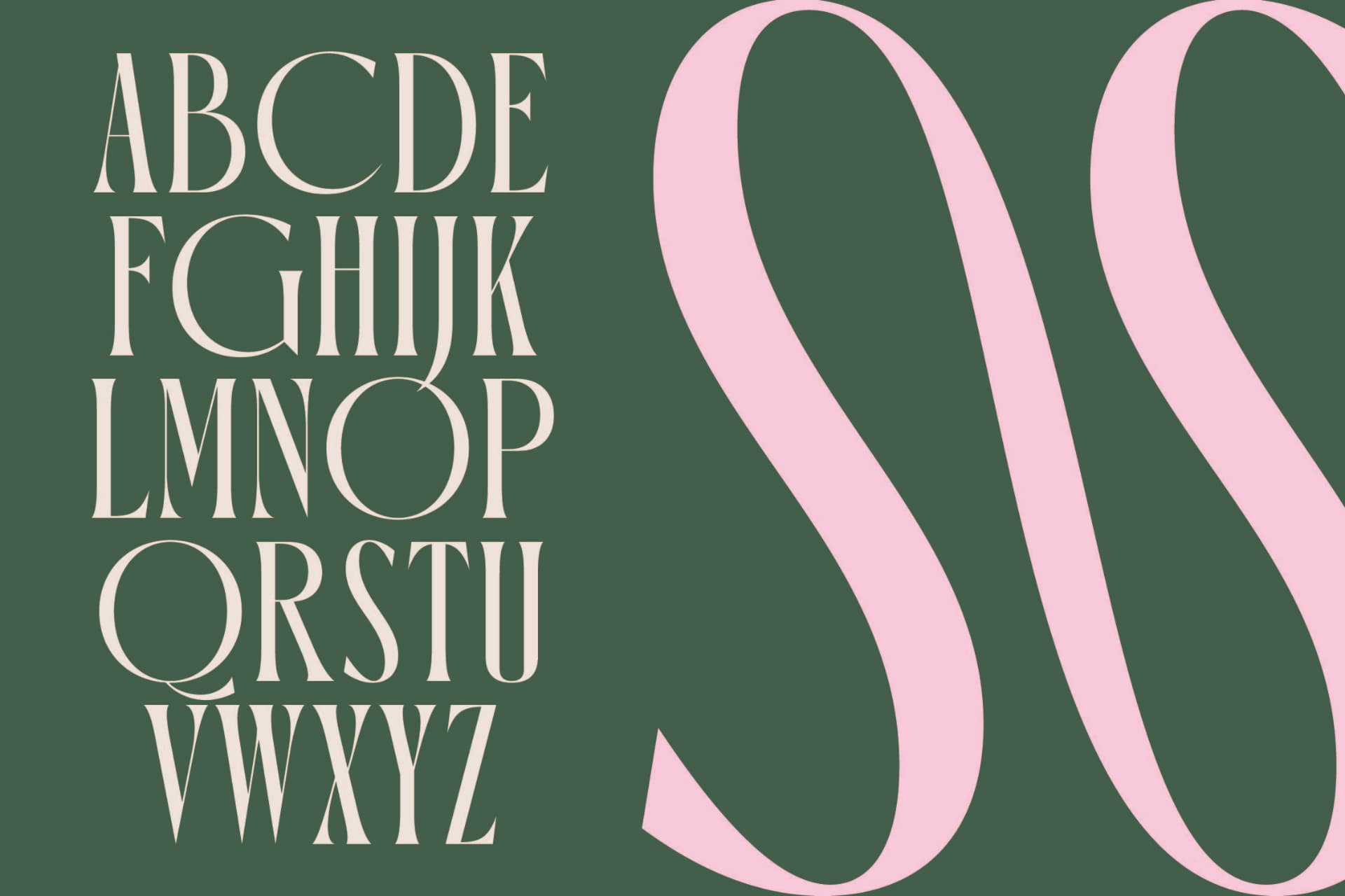 Preview 10 for Orleans Brightens - Modern Elegant Serif