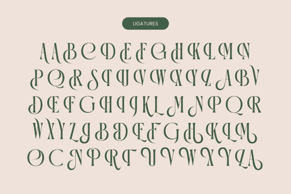 Preview 13 for Orleans Brightens - Modern Elegant Serif