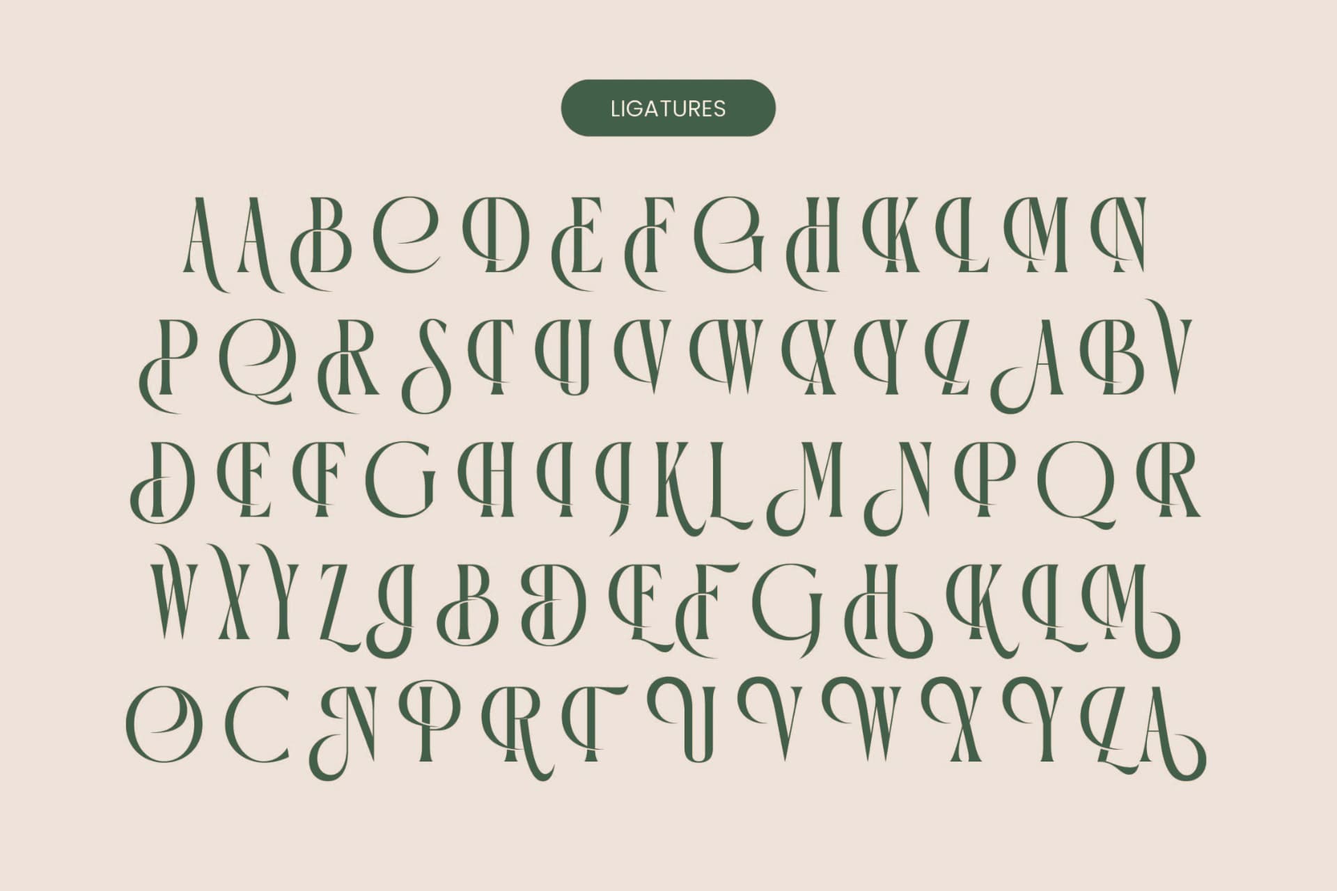 Preview 13 for Orleans Brightens - Modern Elegant Serif