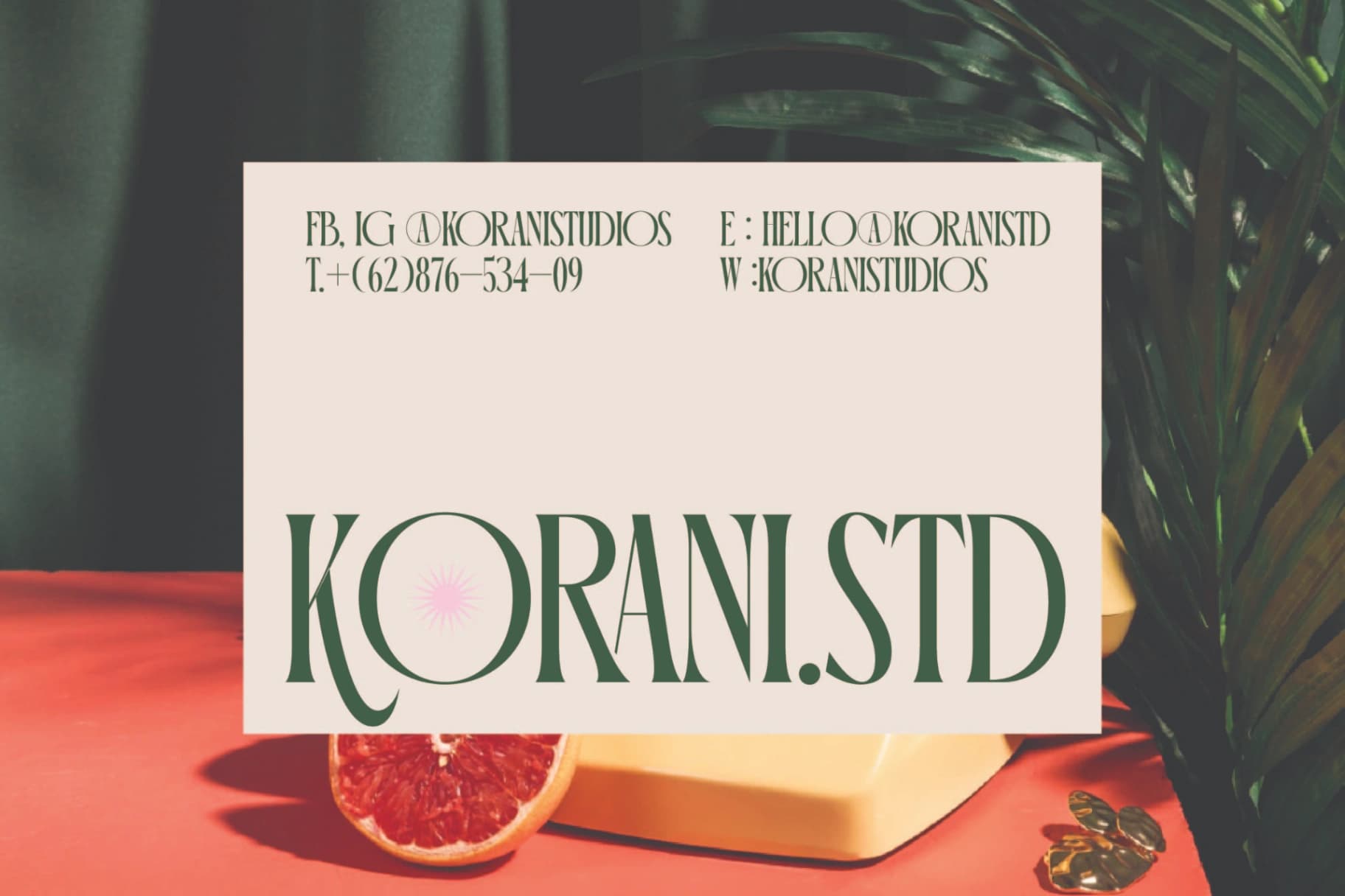 Preview 2 for Orleans Brightens - Modern Elegant Serif