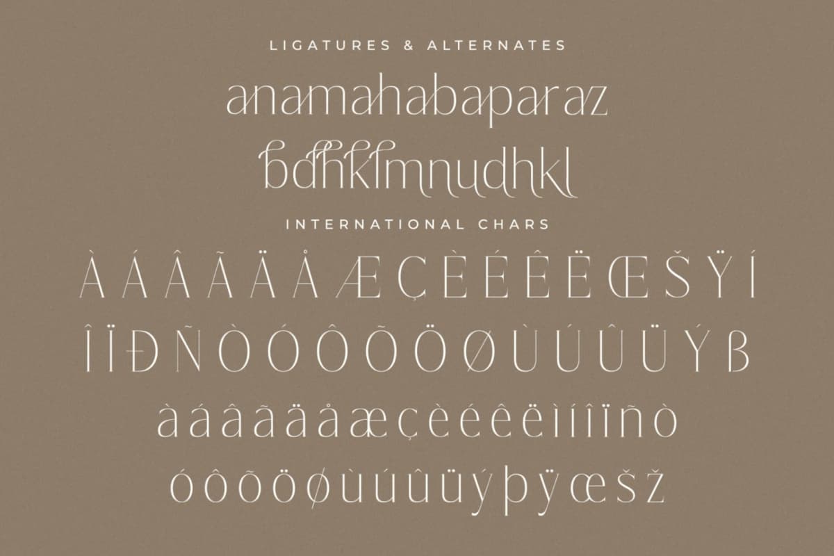 Lisandra - A Modern Font Serif font preview 14