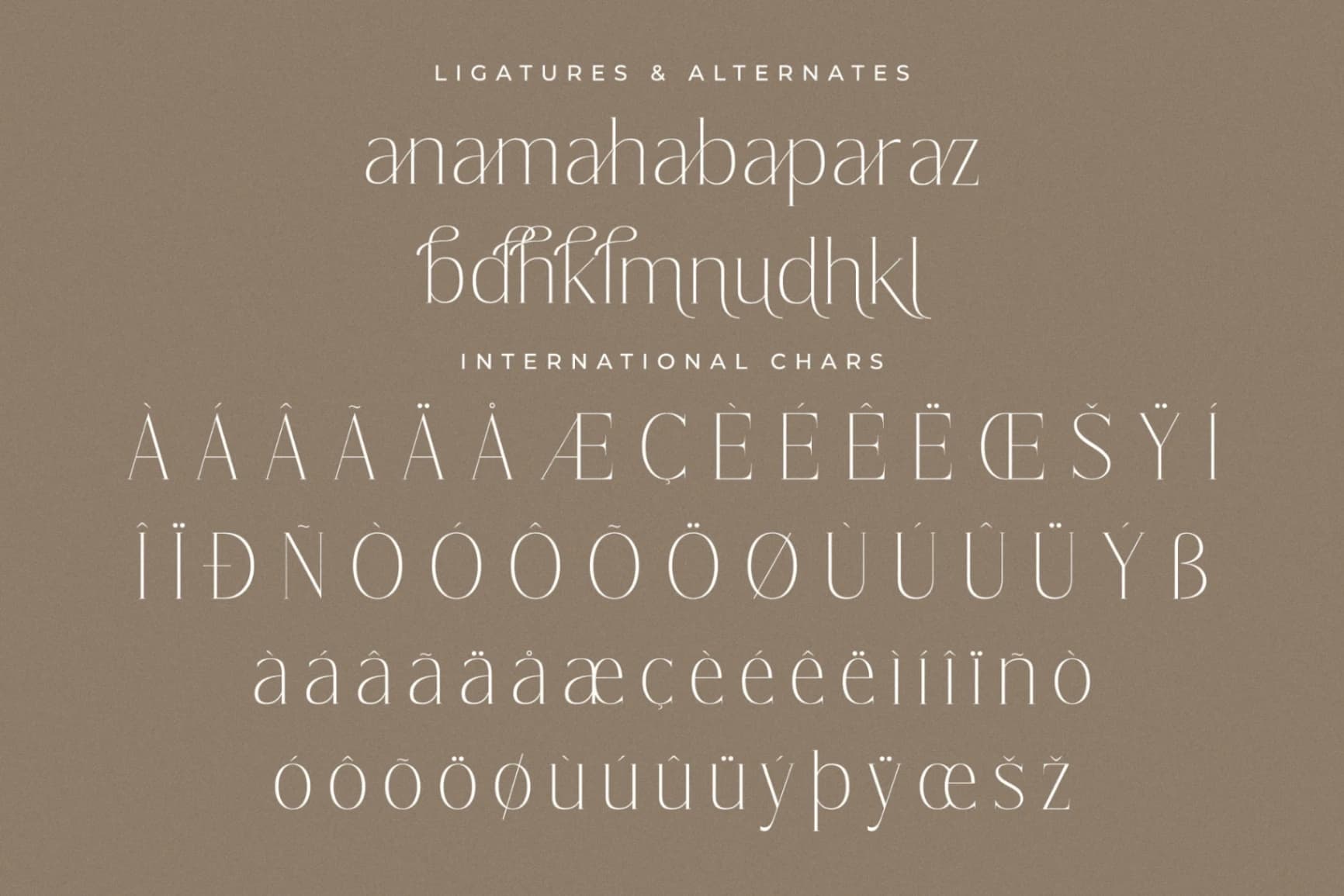 Preview 14 for Lisandra - A Modern Font Serif