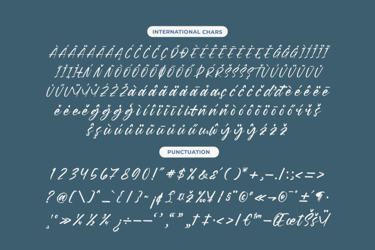 Daniela Butters - Aesthetic Handwritten Font font preview 14