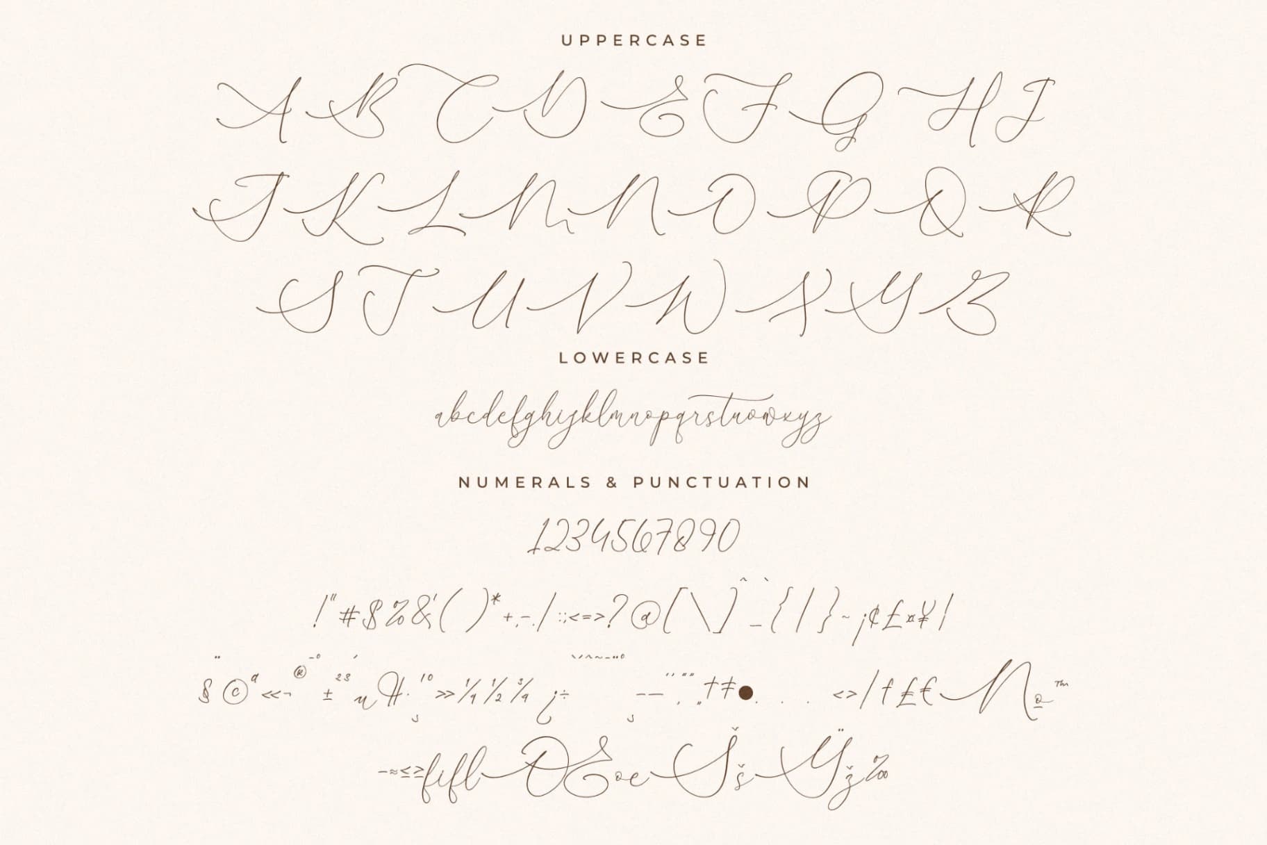 Preview 13 for August Sterling – Beauty Calligraphy Script